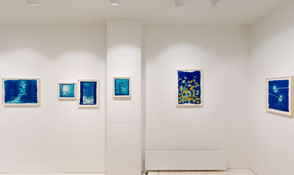 Bildhalle Amsterdam Kiku Mika Horie 01252022 160903