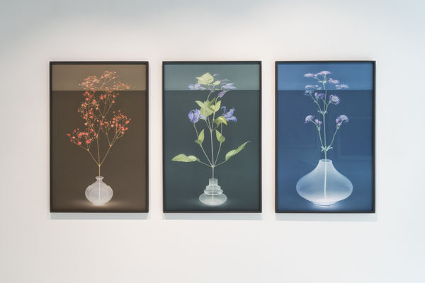 Summershow Bildhalle 2024 014