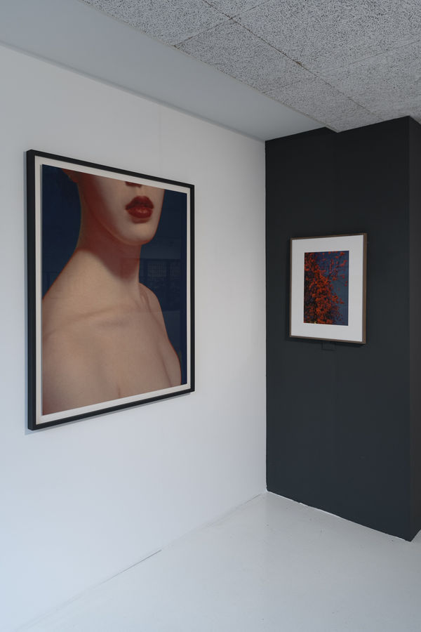 Summershow Bildhalle 2024 031