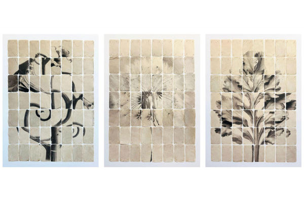 JOOST VANDEBRUG - NOT YET THE IMAGE