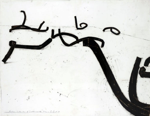 Bernar Venet Combinaison Al Atoire De Lignes Ind Termin Es 1