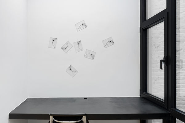 2025 01 15 Qg 8295 Web