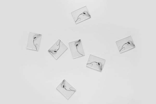 2025 01 15 Qg 8298 Web