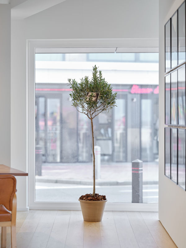 2025 08 02 Qg 4608 Web