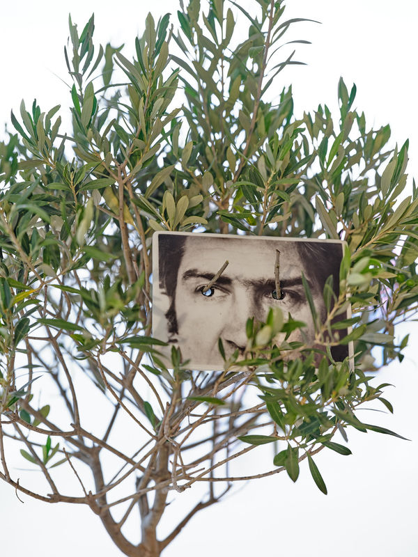 2025 08 02 Qg 4613 Web