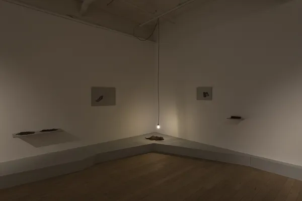 Amol K Patil, The Shadow of LustreZahnradstrasse 21, Zürich