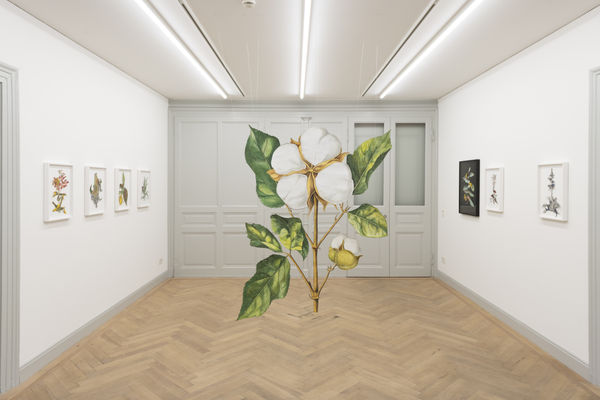 Ishita Chakraborty: I Recall the Forest Inside Me Galerie Peter KilchmannRämistrasse 33, Zurich