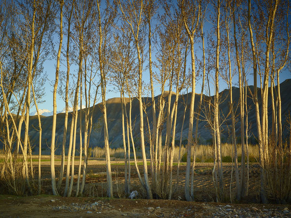 © Simon Norfolk, Time Taken 6, Late Spring