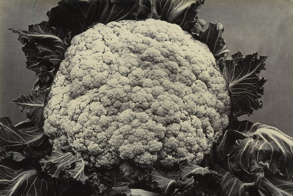 Broccoli, c.1900