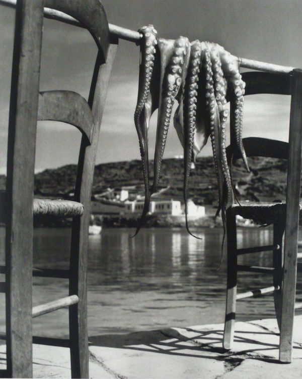 Herbert List, Octopus, Corfu, Greece 1938