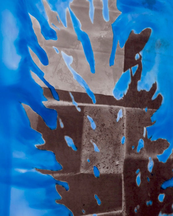 Chloe Sells, Sun In Graphite, 2016