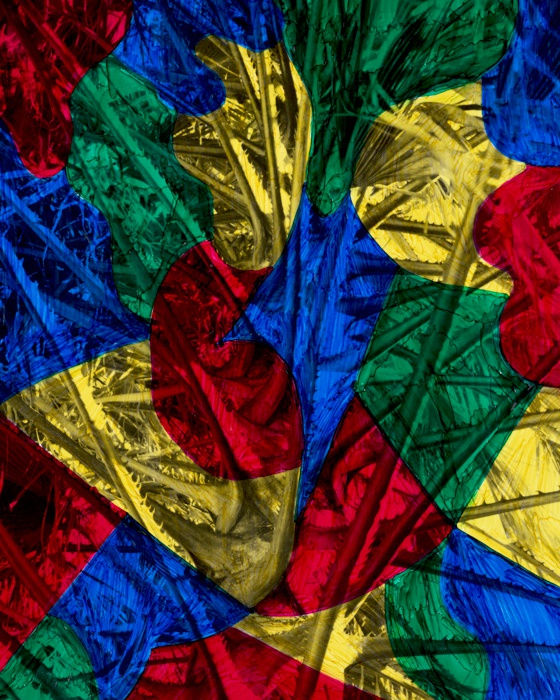 Chloe Sells, Primary Thorn , 2016