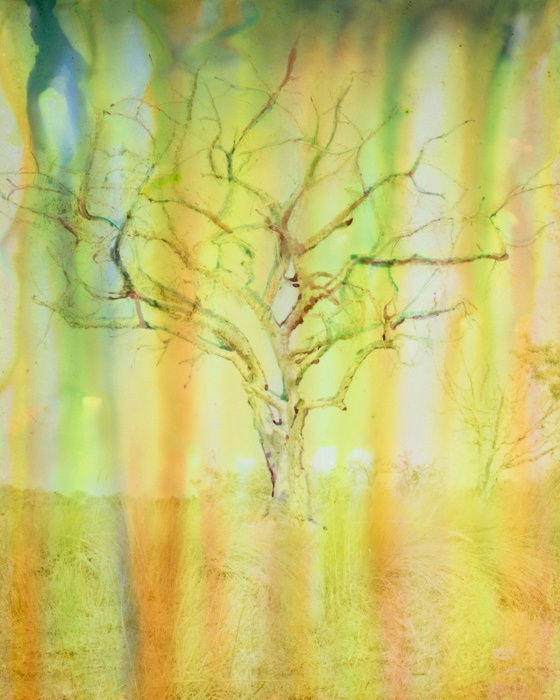 Chloe Sells, Dead & Alive, 2016