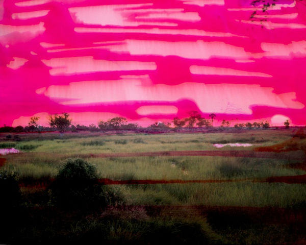 Chloe Sells, Skies Cries, 2016