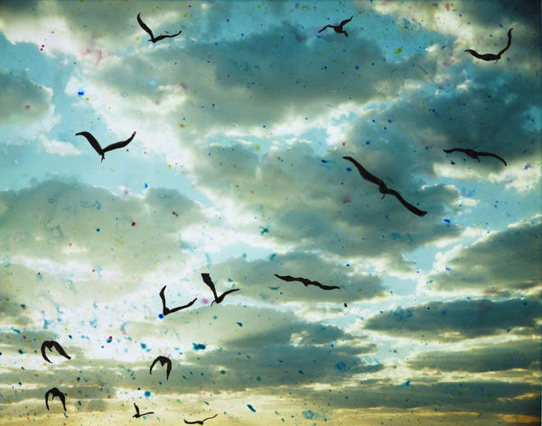 Chloe Sells, Storytellers, 2016