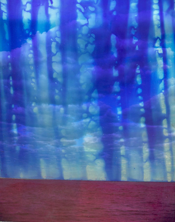 Chloe Sells, Canarsie , 2016