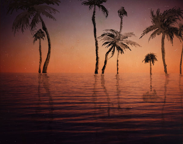 Chloe Sells, The Catchment, 2016