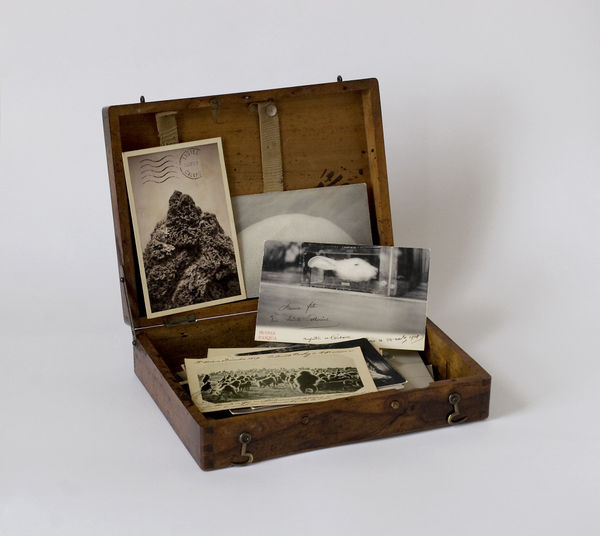 The Amazing Mrs Merryman Collection