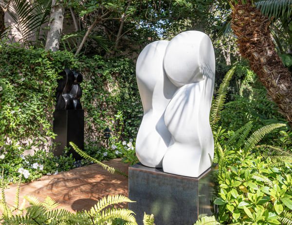 Curvature Install 20