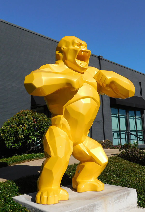 RICHARD ORLINSKI • "BORN WILD IN TEXAS