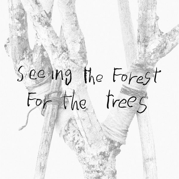 SEEING THE FOREST AS THE TREES Art Agenda, S'pore