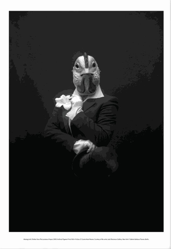 Carrie Mae Weems, Missing Link (Chicken), 2022