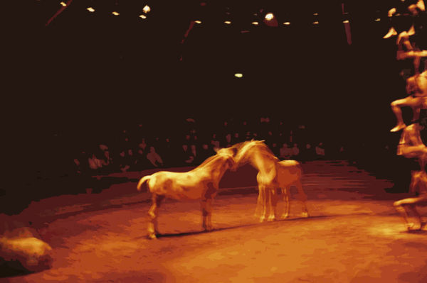 Nan Goldin, Triptyk, Zingaro Equestrian Theater, 2004/2025