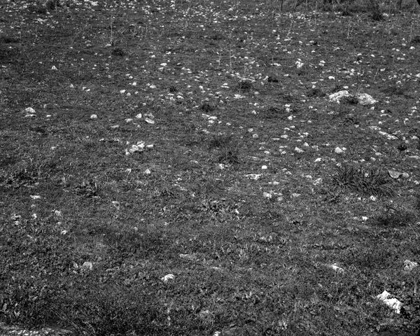 stones in Beit Keshet [#2]