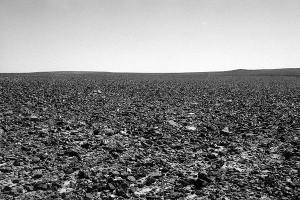 B&W photograph by Ariel Yannay of an infinite field of dark stones at Mount Karkom, reaching toward a high, minimal horizon line under a vast sky.