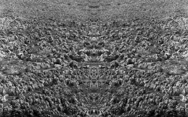 B&W conceptual photo by Ariel Yannay: Bisected mirror reflection of Galilee battlefield soil. Digital print from large-format film, series 'After Eli Ben-Zvi.' Symmetrical abstract landscape.