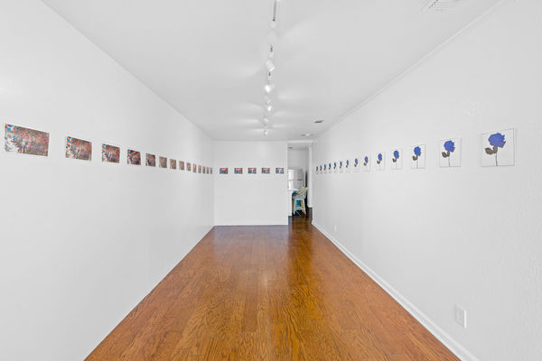 18 Web Or Mls Dsc01349