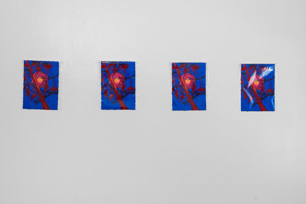 24 Web Or Mls Dsc01371