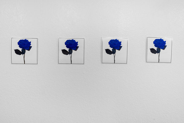 34 Web Or Mls Dsc01425