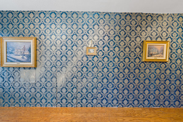 51 Web Or Mls Dsc06734