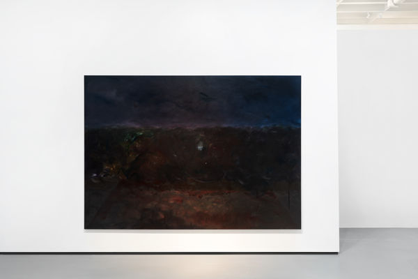 Dsc07695 Final With Color Floor