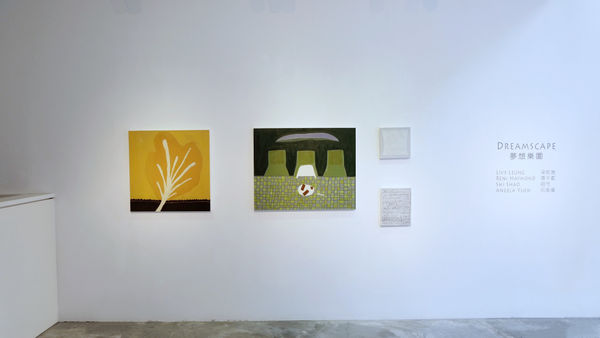 Dreamscape Installation