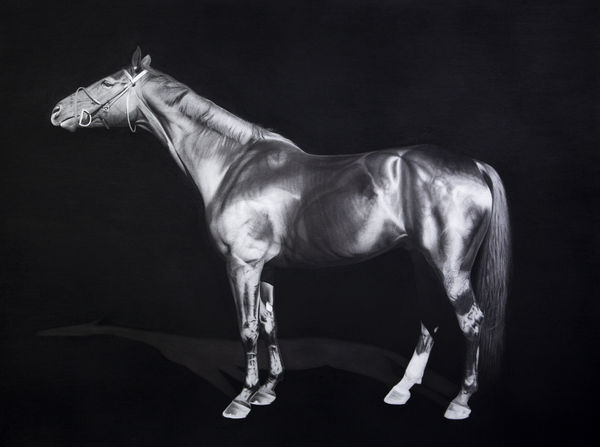 Luisi Mera Caballo I, 2023 Charcoal on paper mounted on wooden panel 91.4 x 121.9 cm. 36 x 48 in.