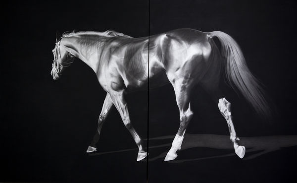 Luisi Mera Caballo III, 2023 Charcoal on paper mounted on wooden panel 152.4 x 243.8 cm. 60 x 96 in.