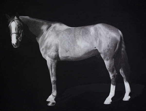 Luisi Mera Cayetano I , 2023 Charcoal on paper mounted on wooden panel 91.4 x 121.9 cm. 36 x 48 in.