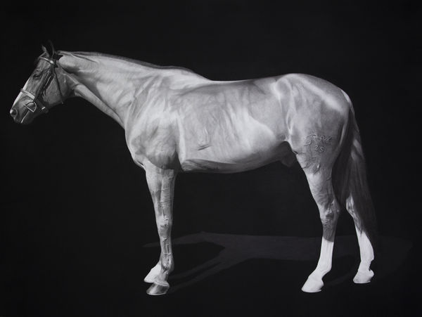 Luisi Mera Cayetano II, 2023 Charcoal on paper mounted on wooden panel 91.4 x 121.9 cm. 36 x 48 in.