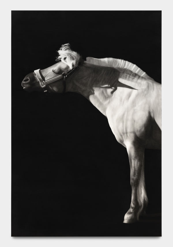 Luisi Mera Flinka, 2023 Charcoal on paper mounted on wooden panel 182.9 x 121.9 cm. 72 x 48 in.