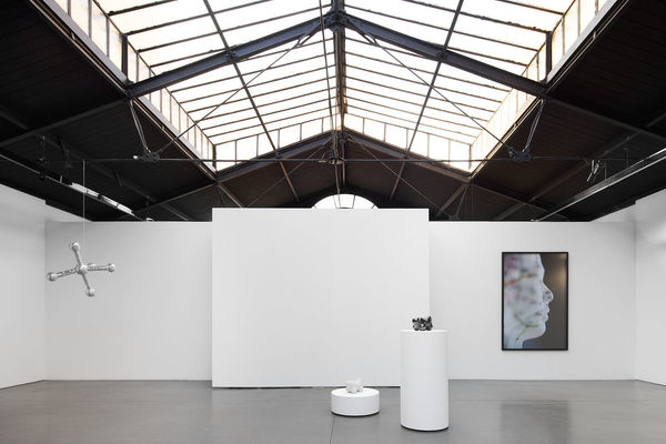 25 Graysc Pationoire Js Web 17