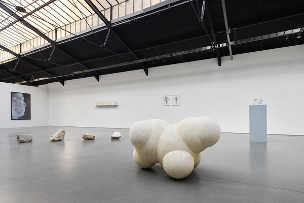 25 Graysc Pationoire Js Web 18