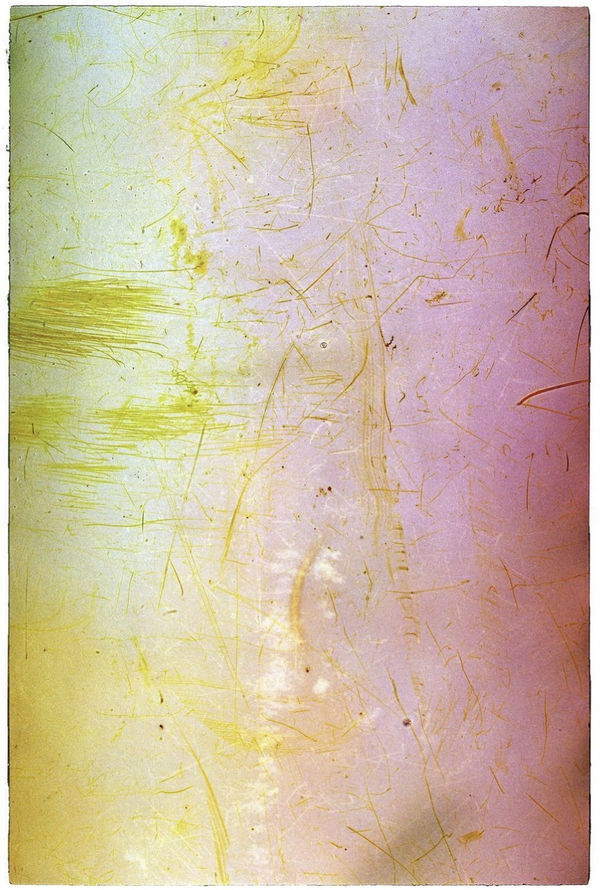 Vasylyna Vrublevska: 'The Garden of Nothing'