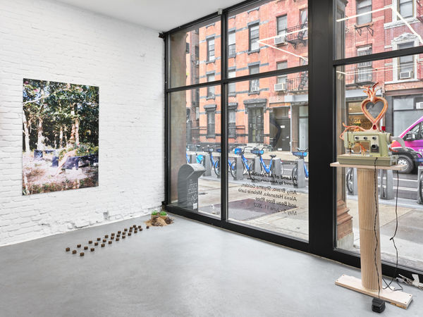 Trotter Sholer A Land Of All Possibilities 5