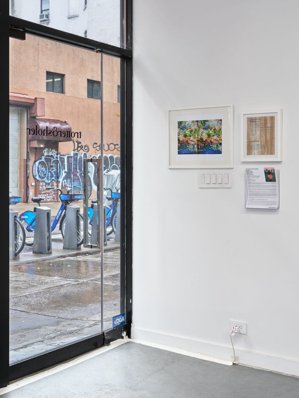 Trotter Sholer A Land Of All Possibilities 9