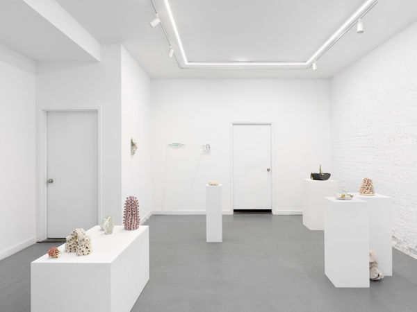 Trotter And Sholer Simple Fire 11 09 23 01 Min