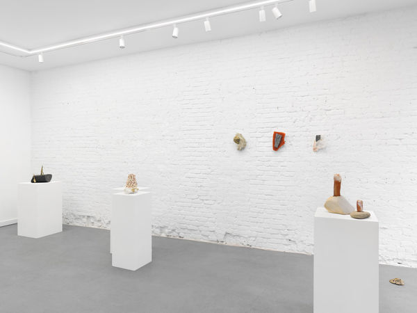 Trotter And Sholer Simple Fire 11 09 23 03 Min