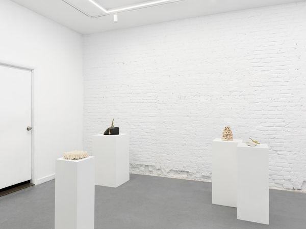 Trotter And Sholer Simple Fire 11 09 23 06 Min