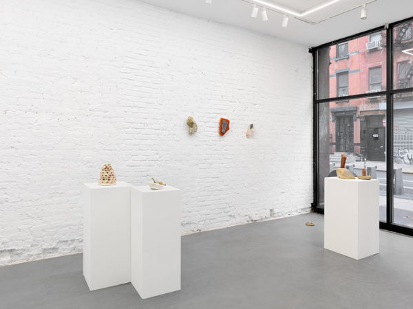 Trotter And Sholer Simple Fire 11 09 23 08 Min